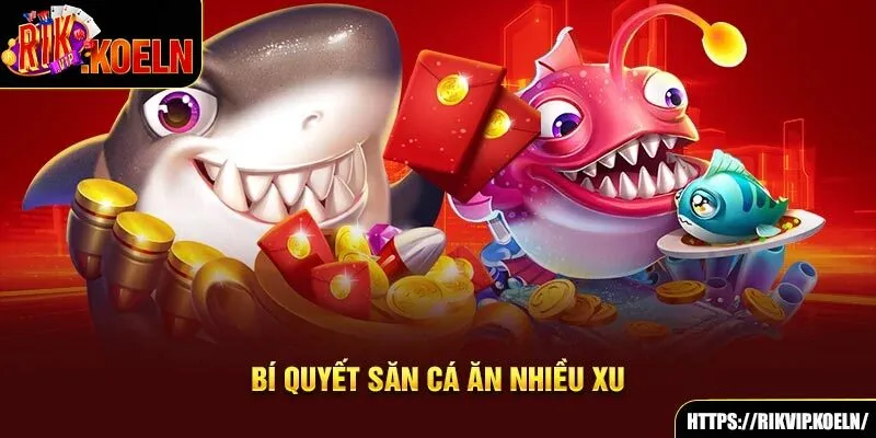 Bí quyết săn cá ăn nhiều xu Bí quyết săn cá ăn nhiều xu