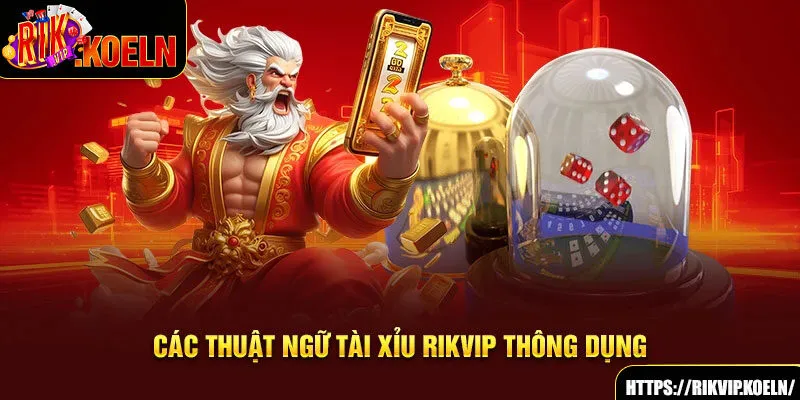 Các thuật ngữ tài xỉu Rikvip thông dụng Các thuật ngữ tài xỉu Rikvip thông dụng