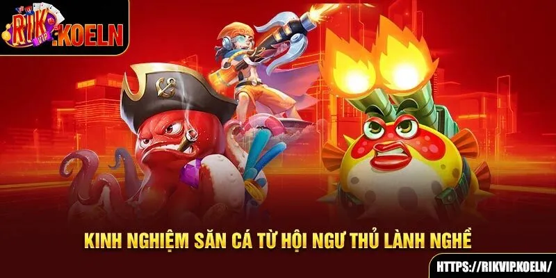 Kinh nghiệm săn cá từ hội ngư thủ lành nghề Kinh nghiệm săn cá từ hội ngư thủ lành nghề