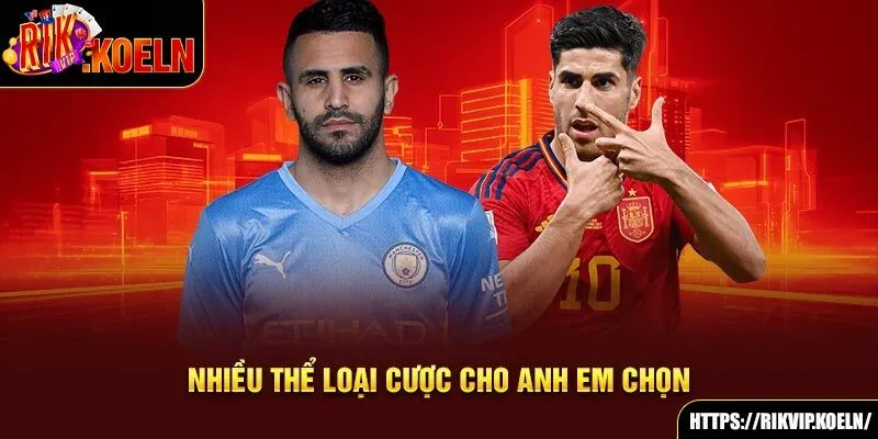 Nhiều thể loại cược cho anh em chọn Nhiều thể loại cược cho anh em chọn